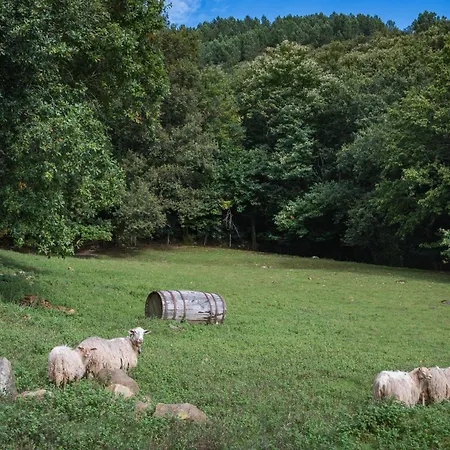 Arrutela * Fontarrabie